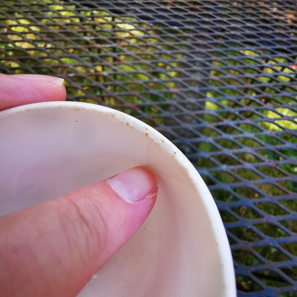 Vintage Japan Double Ended Ceramic Egg Cup - Picture 8 of 14